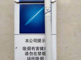 百乐门(普通)
