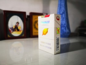 92605_86311