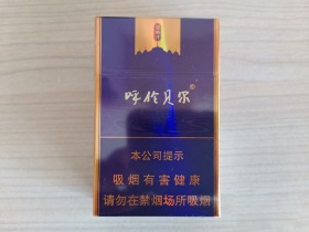 呼伦贝尔(金帐汗)