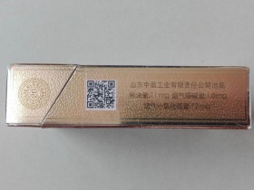 泰山(新沂蒙山)