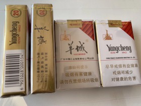 羊城(软红)