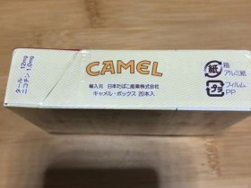 骆驼(硬12mg日税版)