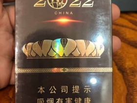 长城(2022)