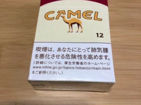 骆驼(硬12mg日税版)
