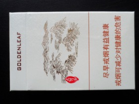 黄金叶(太行山)