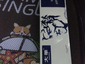 大华(功夫)