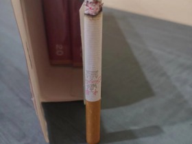 中华(软港版)