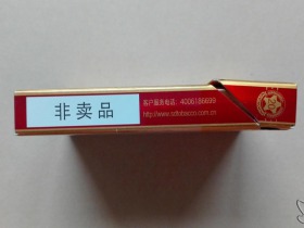 泰山(金将中支)