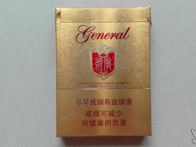 泰山(金将中支)