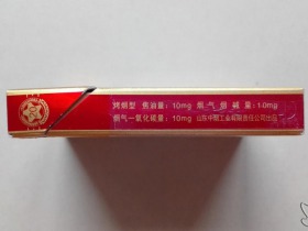 泰山(金将中支)