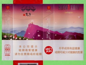 宽窄(魅力天府)