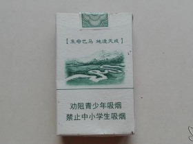 1355_41346