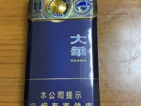 大华(视野)