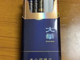大华(视野)