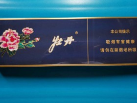 94909_95127