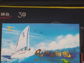 七匹狼(鼓浪扬帆)