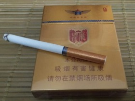 泰山(金将中支)