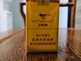 七匹狼(通运)