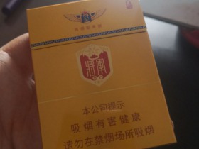 泰山(金将中支)
