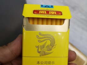 92667_61726