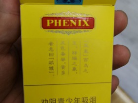 92667_64937