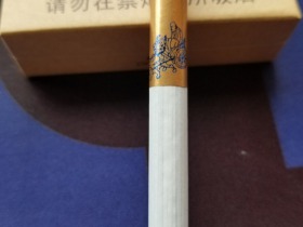 金圣(智圣出山16支装)