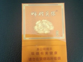 呼伦贝尔(天之韵)