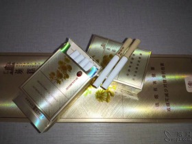 黄鹤楼(滑盖乐道)