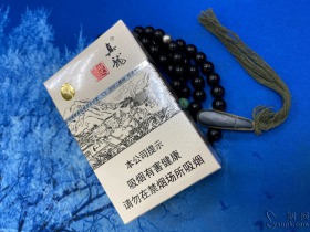 真龙(起源)