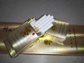 黄鹤楼(滑盖乐道)