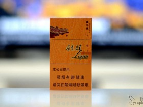 93977_17976