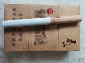泰山(1913)
