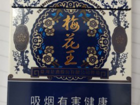 梅花王(硬蓝)