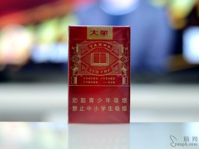 大华(大时代)
