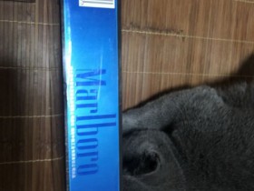94898_36784