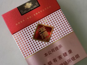 95056_55763
