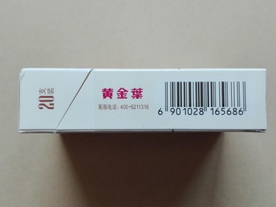 黄金叶小黄金