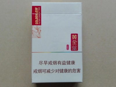 黄金叶小黄金