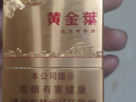 95576_90804