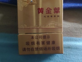 95576_66071