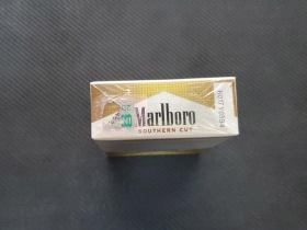 95200_69013