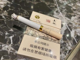真龙(起源)