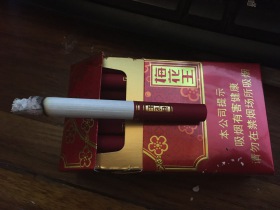梅花王(旗袍红)