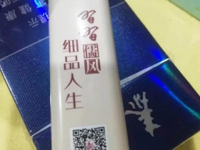 泰山(硬功勋)