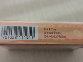 苏烟(新星)