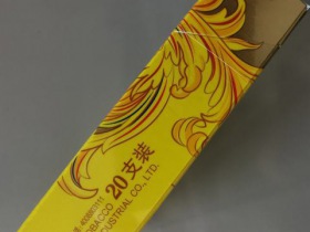 金圣(炫彩)