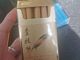 壹枝笔(新品)