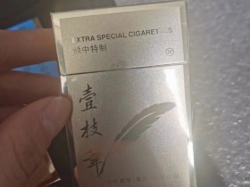 壹枝笔(新品)