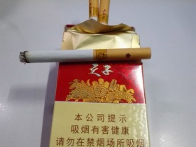 天子(五粮香20年)