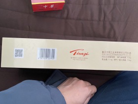 天子(千里江山)